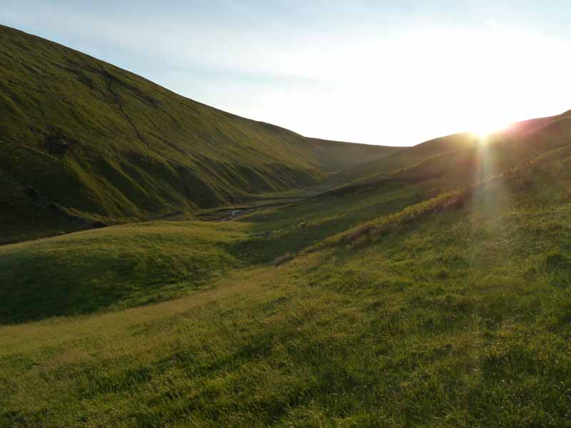 Ogden Clough